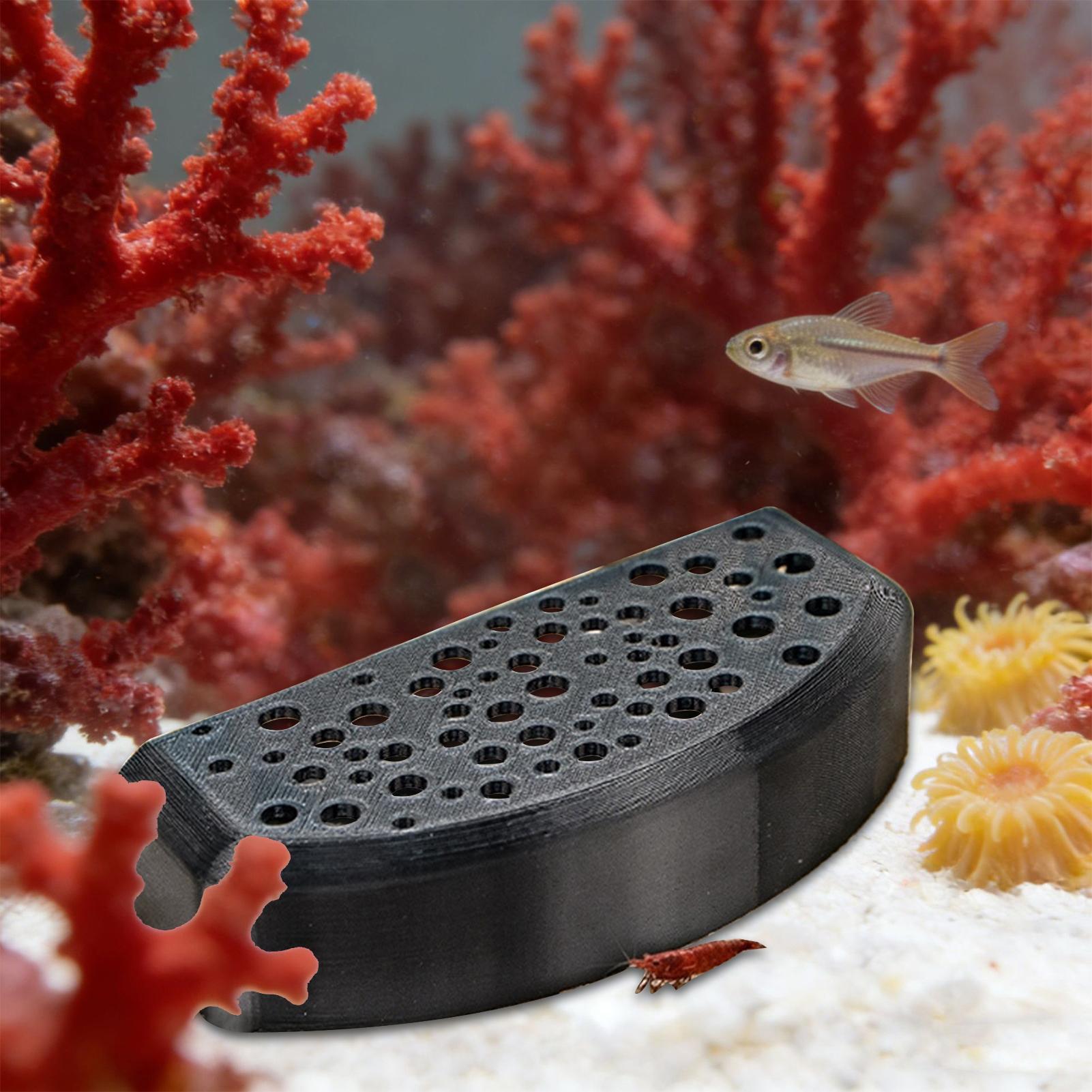 Aquarium Fish Zone - Su Ürünleri Evcil Hayvan Dinlenme Süsü