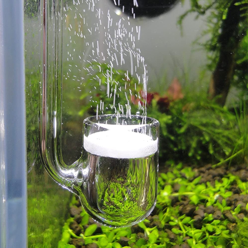 Co2 Diffuser Planted - Akvaryum için D0AD Cam CO2 Difüzörü