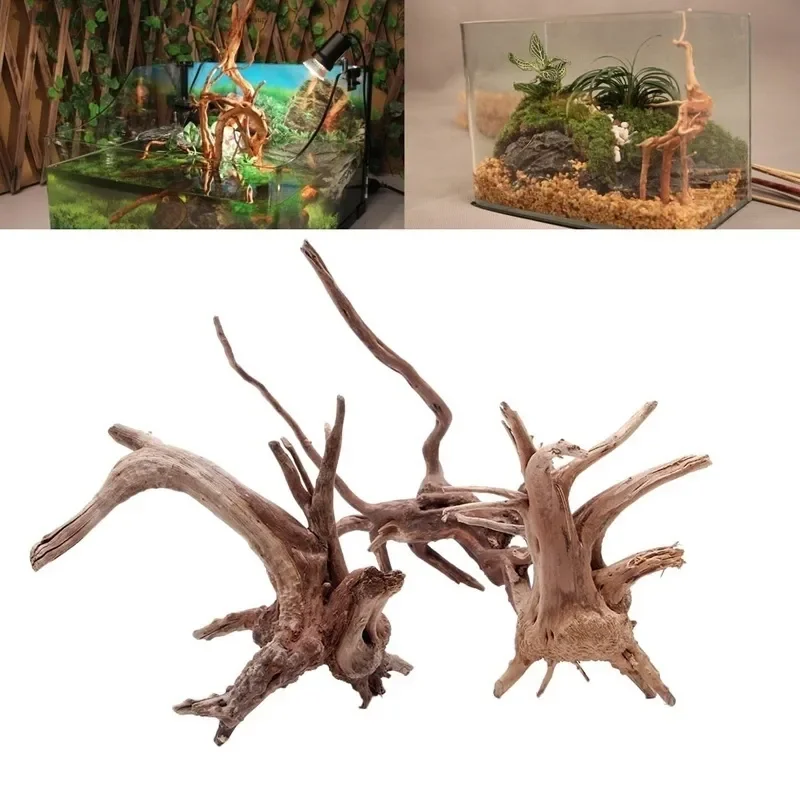 Aquarium Fish Diseases - Doğal ağaç gövdesi Driftwood akvaryum balık
