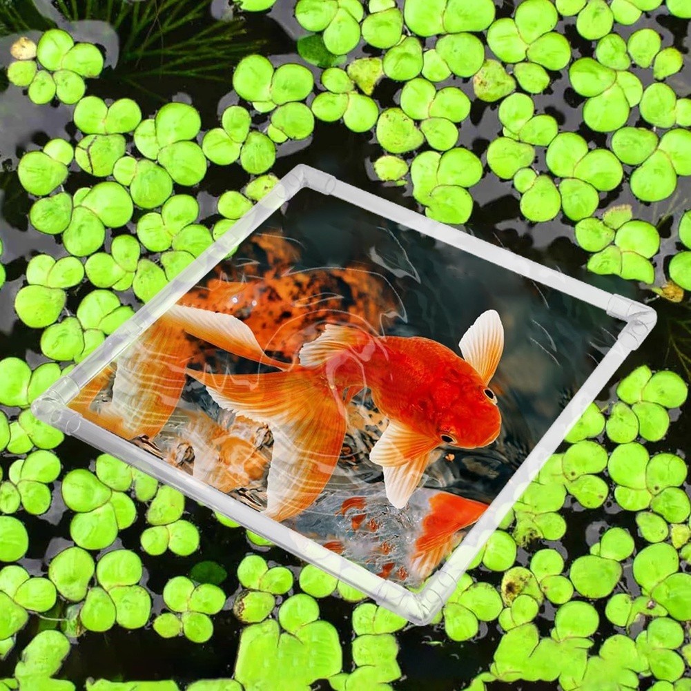 Aquarium Fish Zone - Akrilik Balık Tankları ve Açık Havuzlar