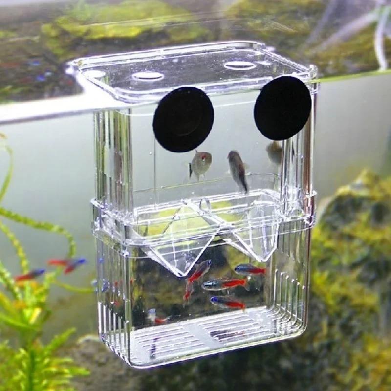 Aquarium Fish In Bowl - Şeffaf balık akvaryumu Yüksek Temizle Yetiştiriciliği
