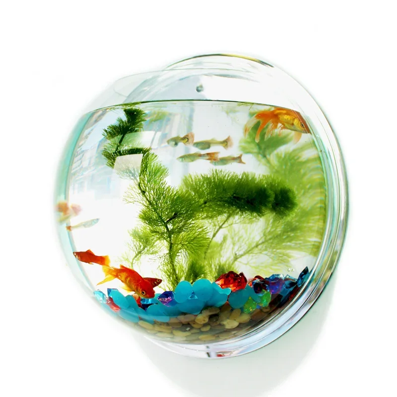 Aquarium Fish In Bowl - Pinsjar Akrilik Balık Kase Duvar Asılı