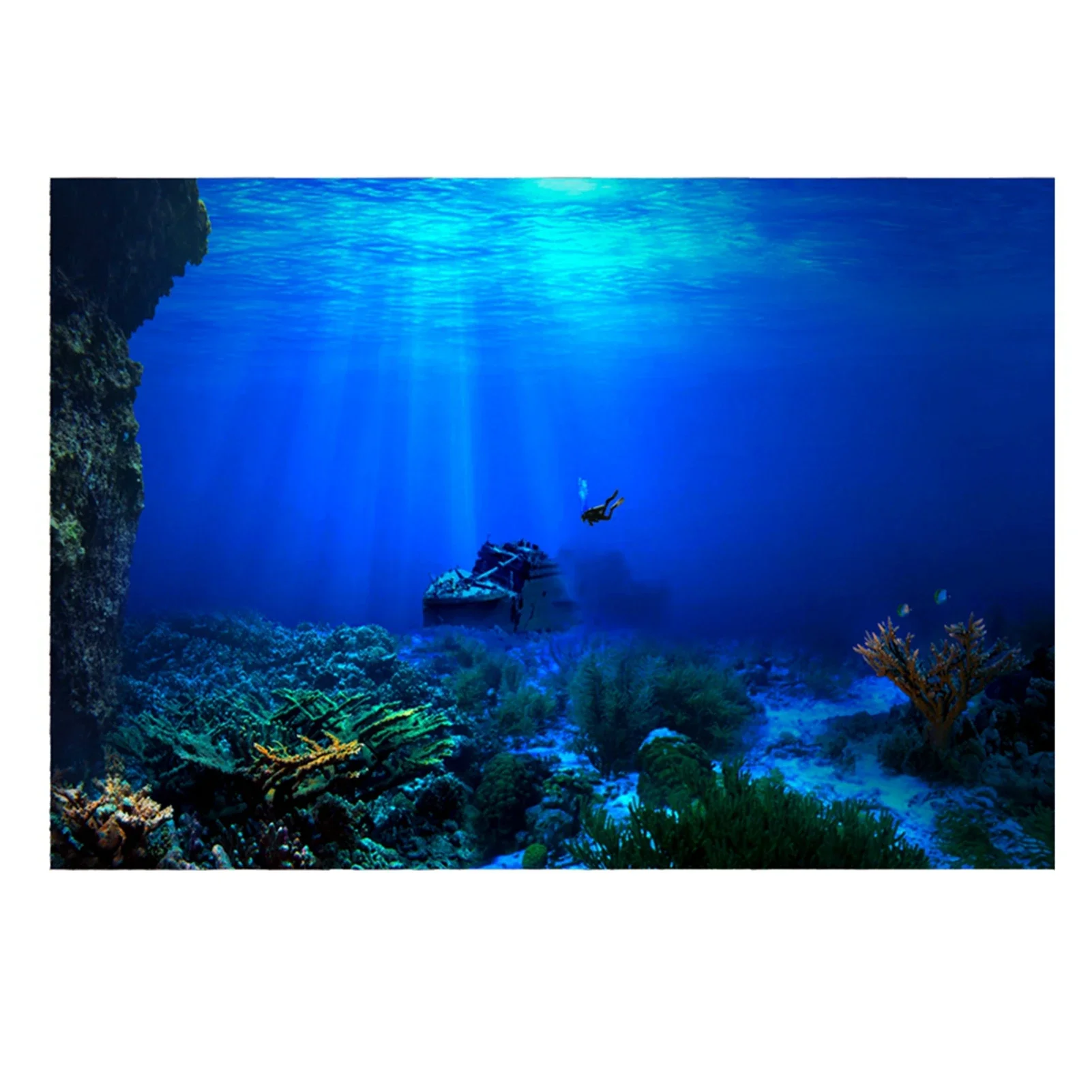 Aquarium Fish World - Rainforest akvaryum arka plan posteri balık