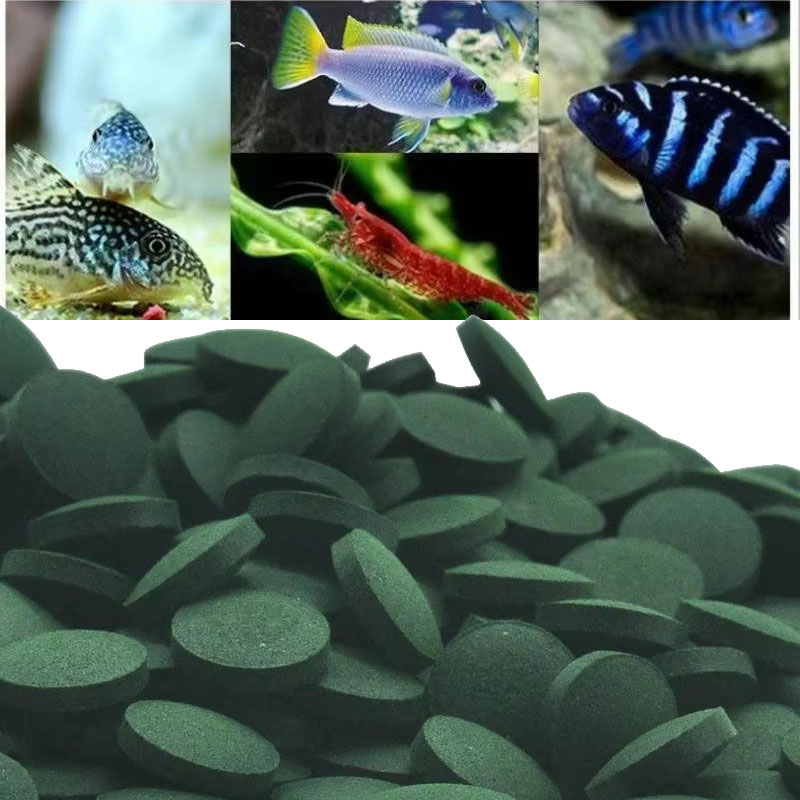 Aquarium Fish Vitamin - 50/100/300/500 adet Spirulina Tabletleri Spiral Deniz