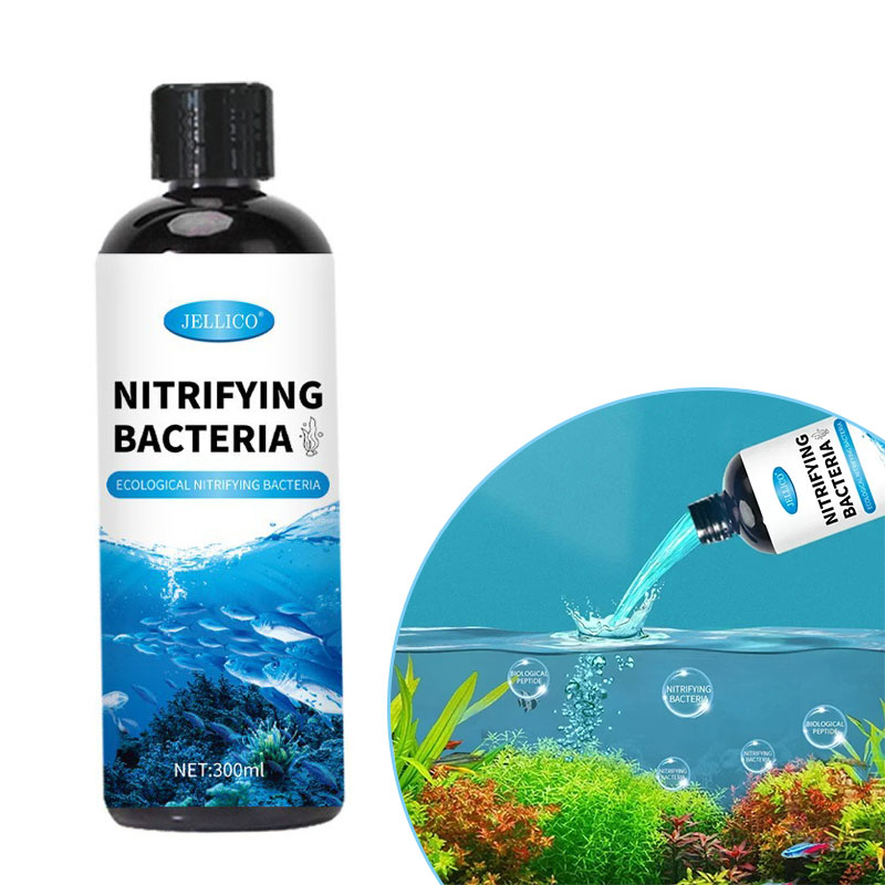 Aquarium Fish Diseases - Nitrifikasyon Bakteri Sıvı Balık Tankı Su