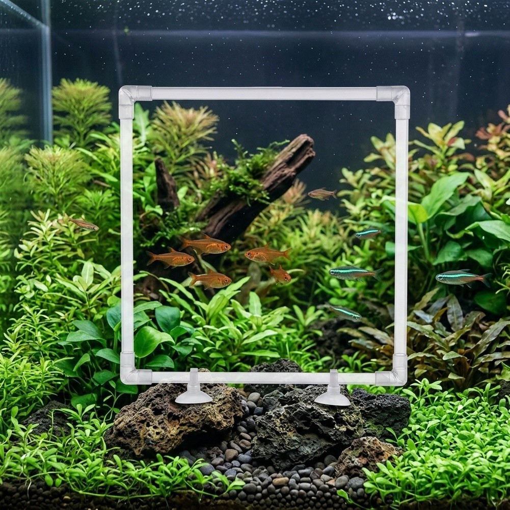 Aquarium Fish Zone - Akrilik Balık Tankları ve Açık Havuzlar