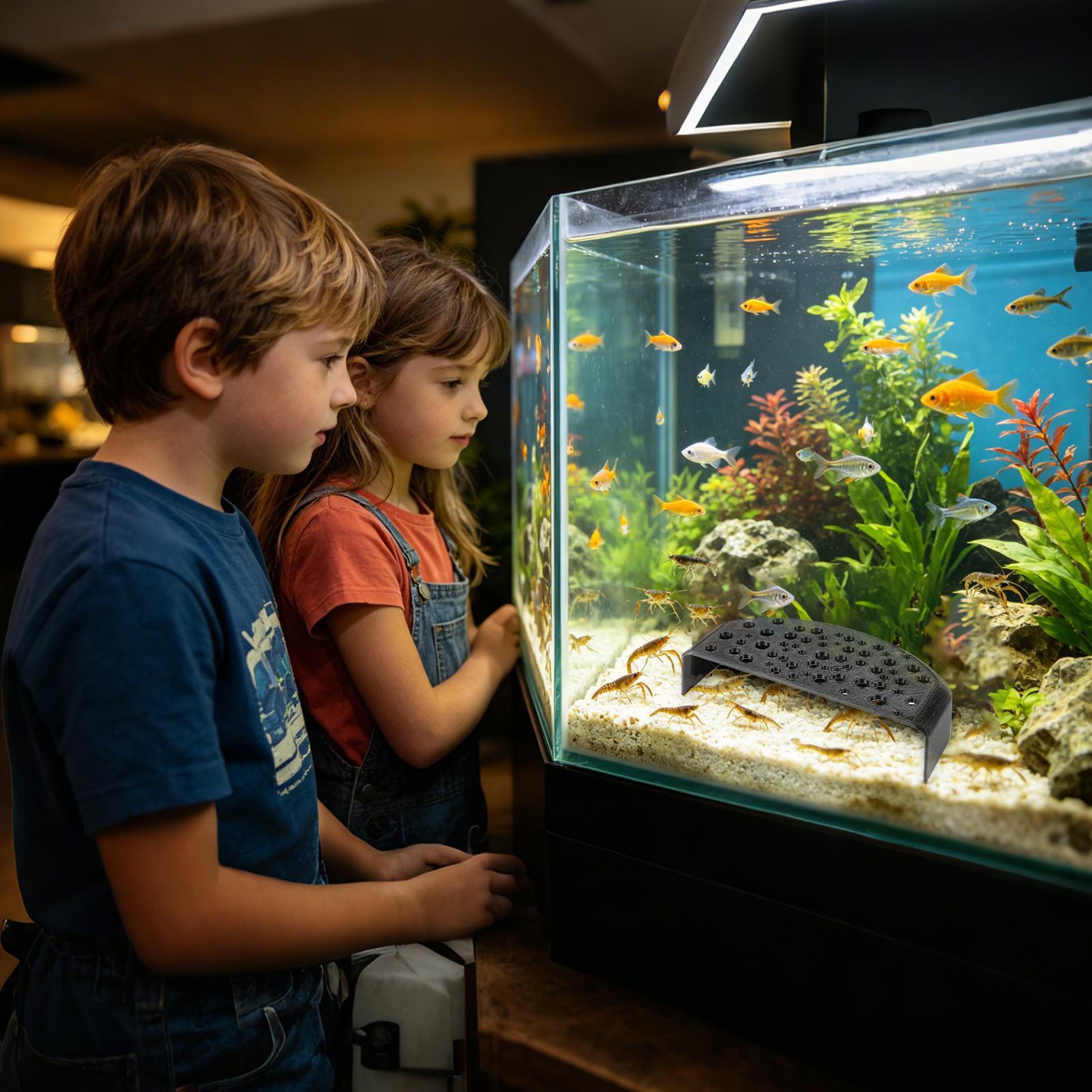 Su Ürünleri Evcil Hayvan Dinle - Aquarium Fish Zone incelemesi ve fiyatı