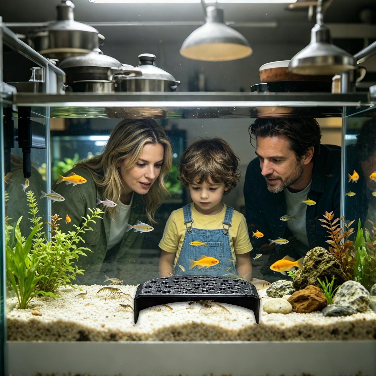 Su Ürünleri Evcil Hayvan Dinle - Aquarium Fish Zone incelemesi ve fiyatı