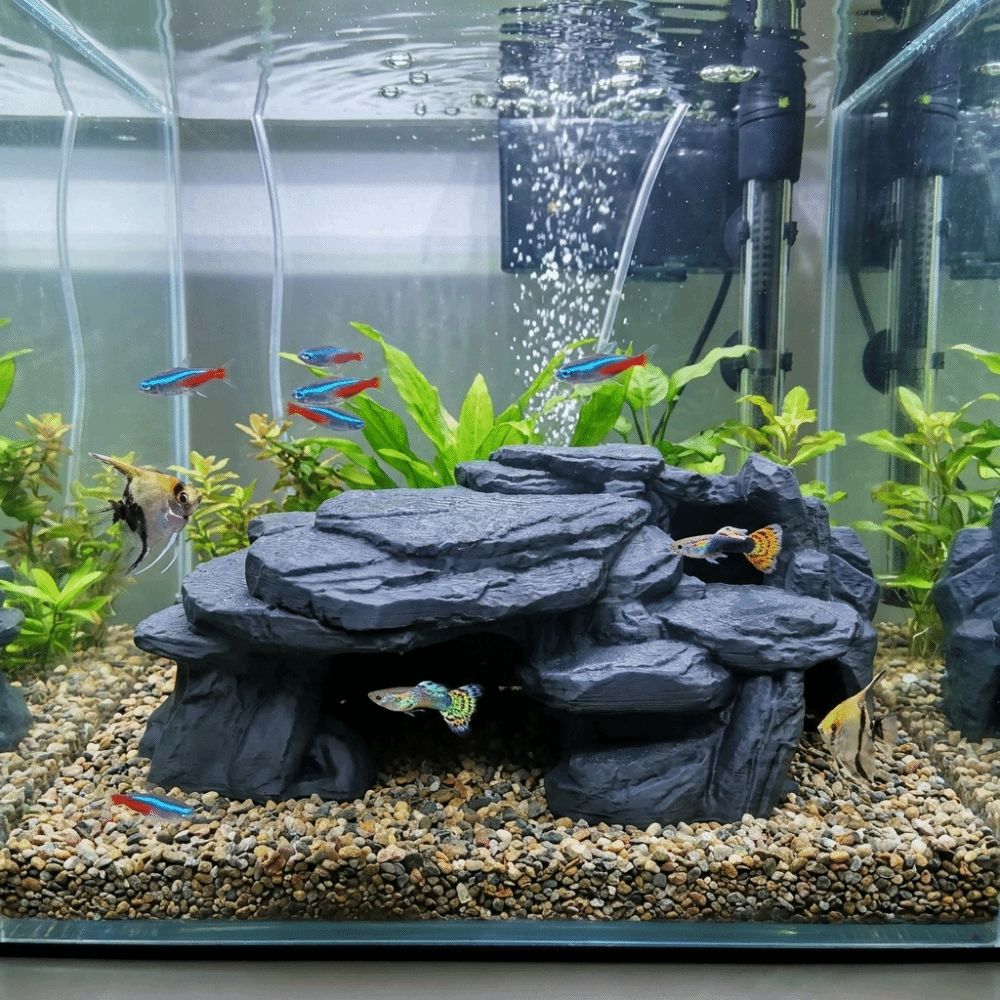 3D Baskılı Balık Tankı Kaya Sü - Aquarium Fish Games incelemesi ve fiyatı
