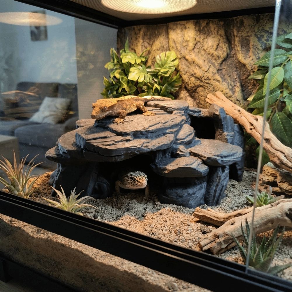 3D Baskılı Balık Tankı Kaya Sü - Aquarium Fish Games incelemesi ve fiyatı