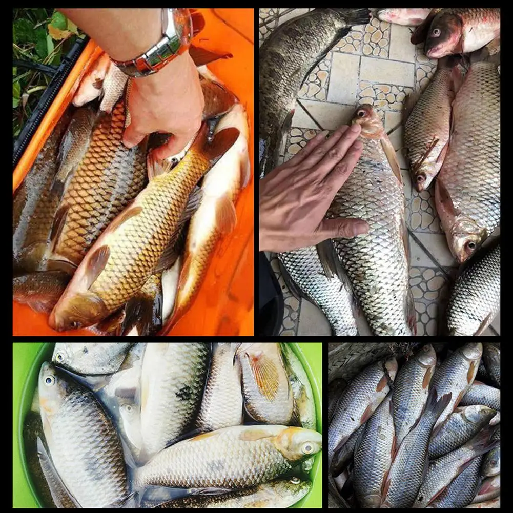 60/100ml Karides Yemi Kokusu Y - Aquarium Fish Diseases incelemesi ve fiyatı