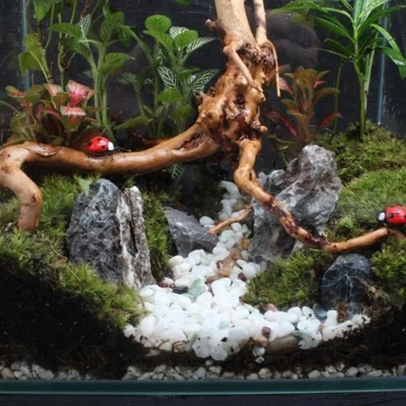 Doğal ağaç gövdesi Driftwood a - Aquarium Fish Diseases incelemesi ve fiyatı