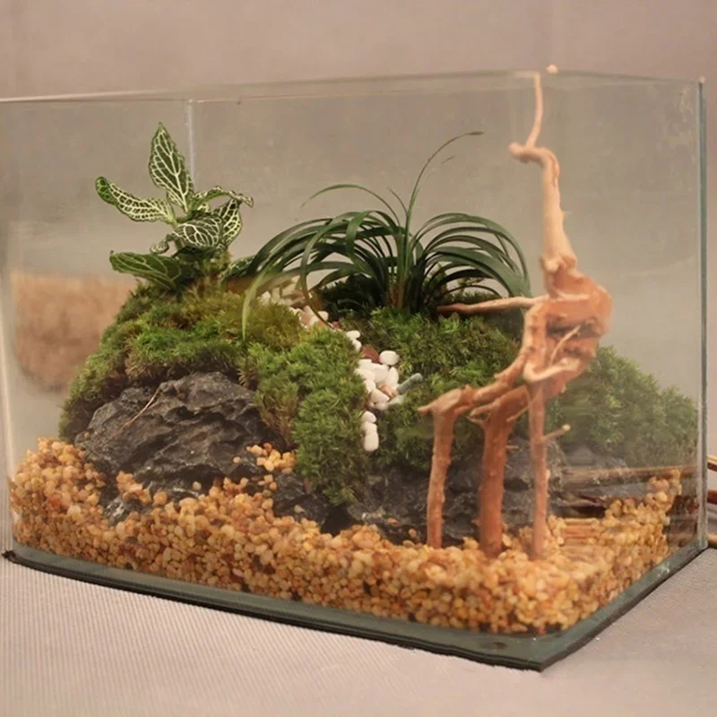 Doğal ağaç gövdesi Driftwood a - Aquarium Fish Diseases incelemesi ve fiyatı