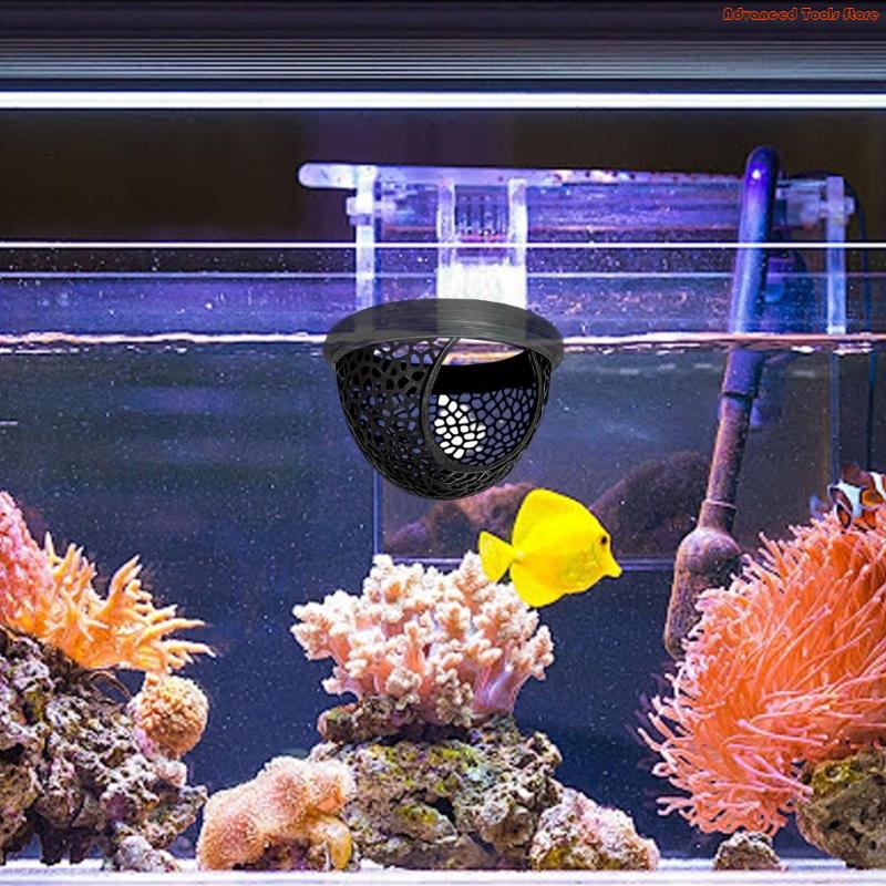 Tanklardaki Doğal Betta Ortamı - Aquarium Fish Zone incelemesi ve fiyatı