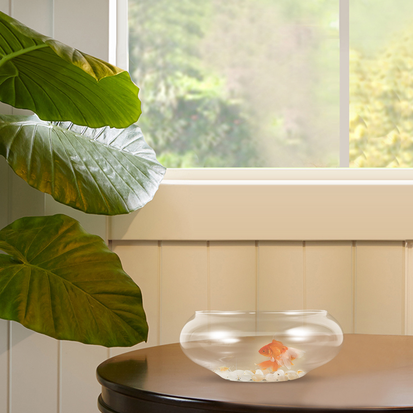 Şeffaf Cam Balık Kabı, Yuvarla - Aquarium Fish In Bowl incelemesi ve fiyatı