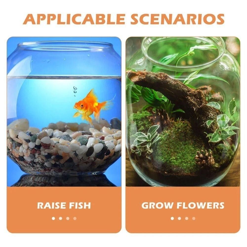 Taşınabilir Şeffaf Balık Tankı - Aquarium Fish In Bowl incelemesi ve fiyatı