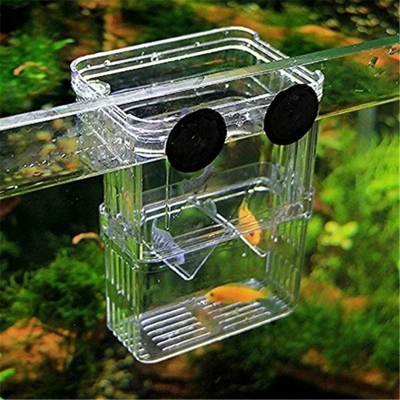 Şeffaf balık akvaryumu Yüksek  - Aquarium Fish In Bowl incelemesi ve fiyatı