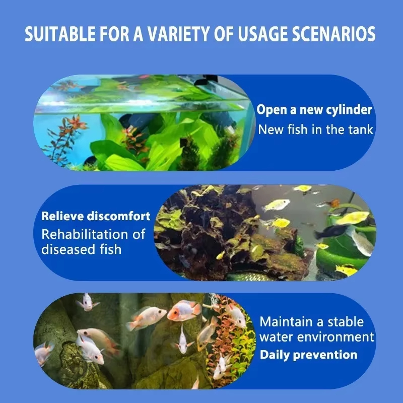 SIKEZHAN Balık Hastalığı Tedav - Aquarium Fish Diseases incelemesi ve fiyatı