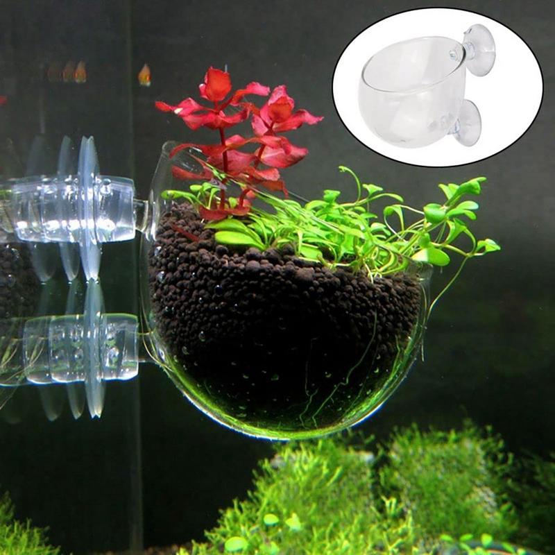 Akvaryum Süslemeleri Bitki Fin - Aquarium Fish Games incelemesi ve fiyatı