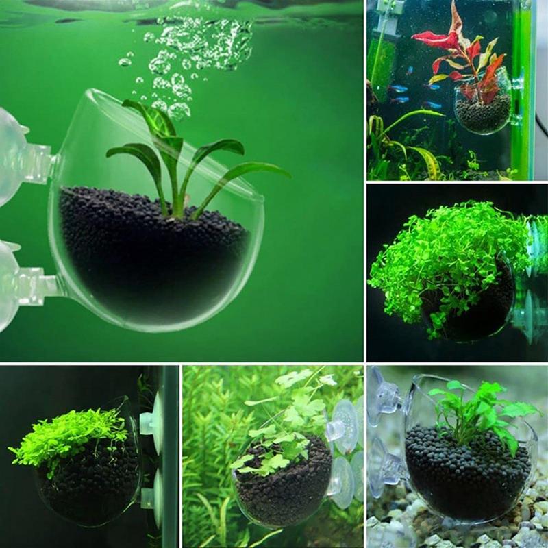 Akvaryum Süslemeleri Bitki Fin - Aquarium Fish Games incelemesi ve fiyatı