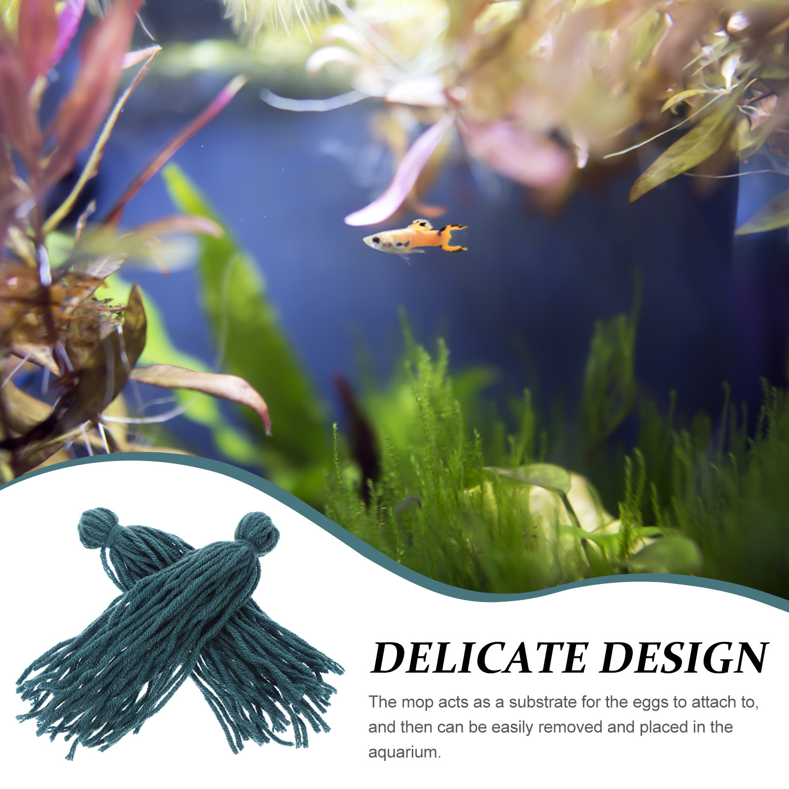 5 Adet Akvaryum Yumurta Balık  - Aquarium Fish Reproduction incelemesi ve fiyatı