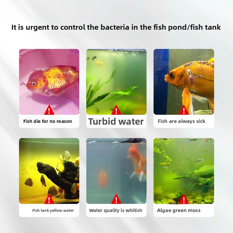 HUACHU Tatlı Su Balıkları İçin - Aquarium Fish Diseases incelemesi ve fiyatı