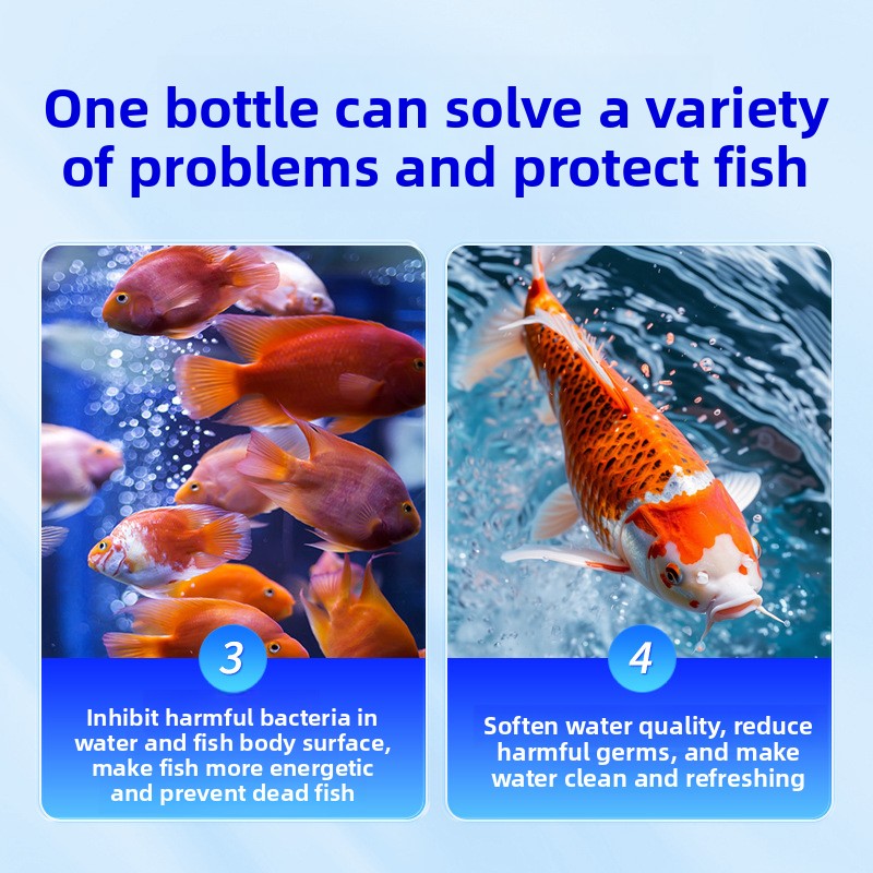 HUACHU Tatlı Su Balıkları İçin - Aquarium Fish Diseases incelemesi ve fiyatı