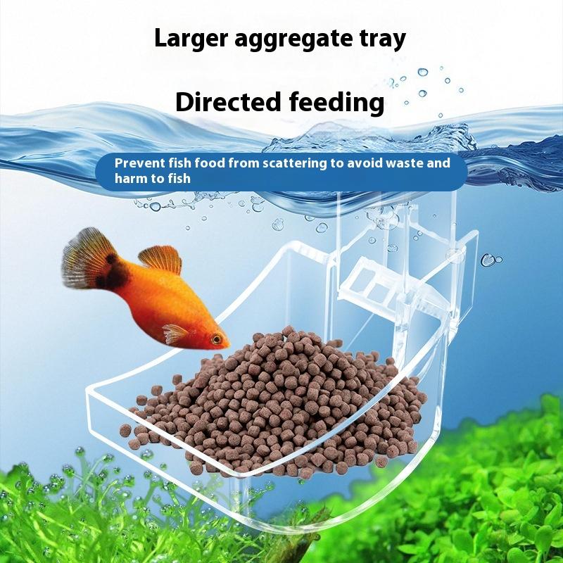 Şeffaf Balık Tankı Karides Sal - Aquarium Fish Feeder Automatic incelemesi ve fiyatı