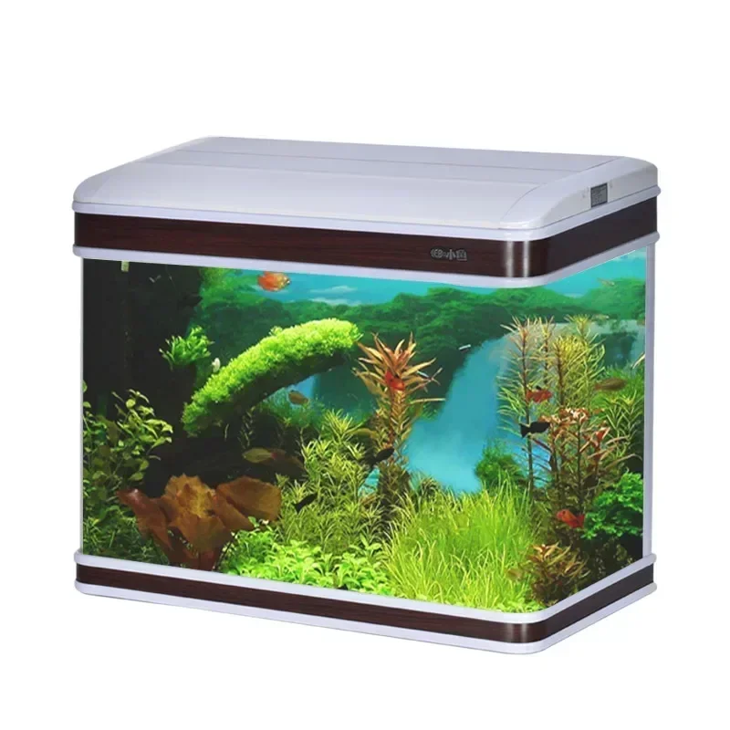 Profesyonel Akvaryum Tedarikçi - Aquarium Fish Supplier incelemesi ve fiyatı