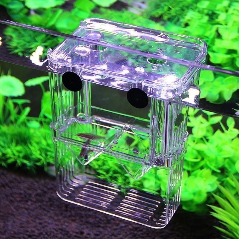 Çok fonksiyonlu balık akvaryum - Aquarium Fish In Bowl incelemesi ve fiyatı