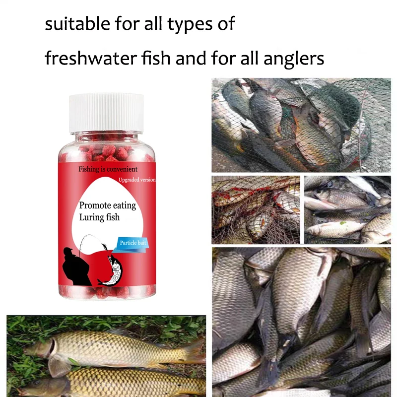 Üniversal konsantre yem, kırmı - Aquarium Fish Diseases incelemesi ve fiyatı