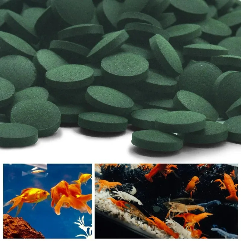 50/100/300/500 adet Spirulina  - Aquarium Fish Vitamin incelemesi ve fiyatı