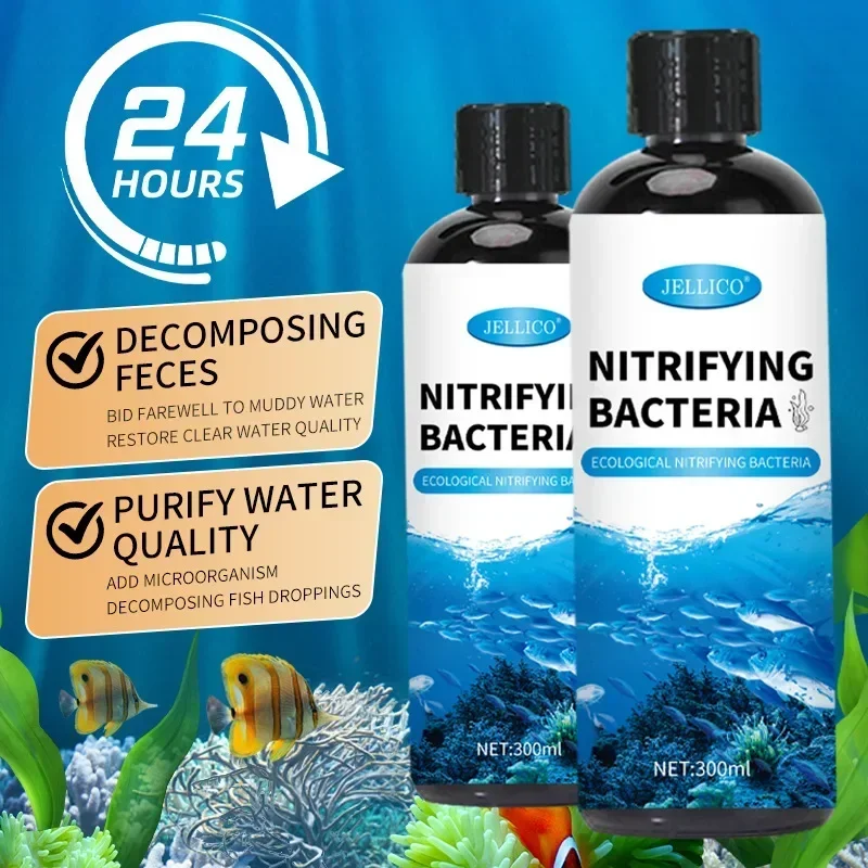 Nitrifikasyon Bakteri Sıvı Bal - Aquarium Fish Diseases incelemesi ve fiyatı