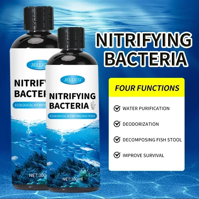 Nitrifikasyon Bakteri Sıvı Bal - Aquarium Fish Diseases incelemesi ve fiyatı