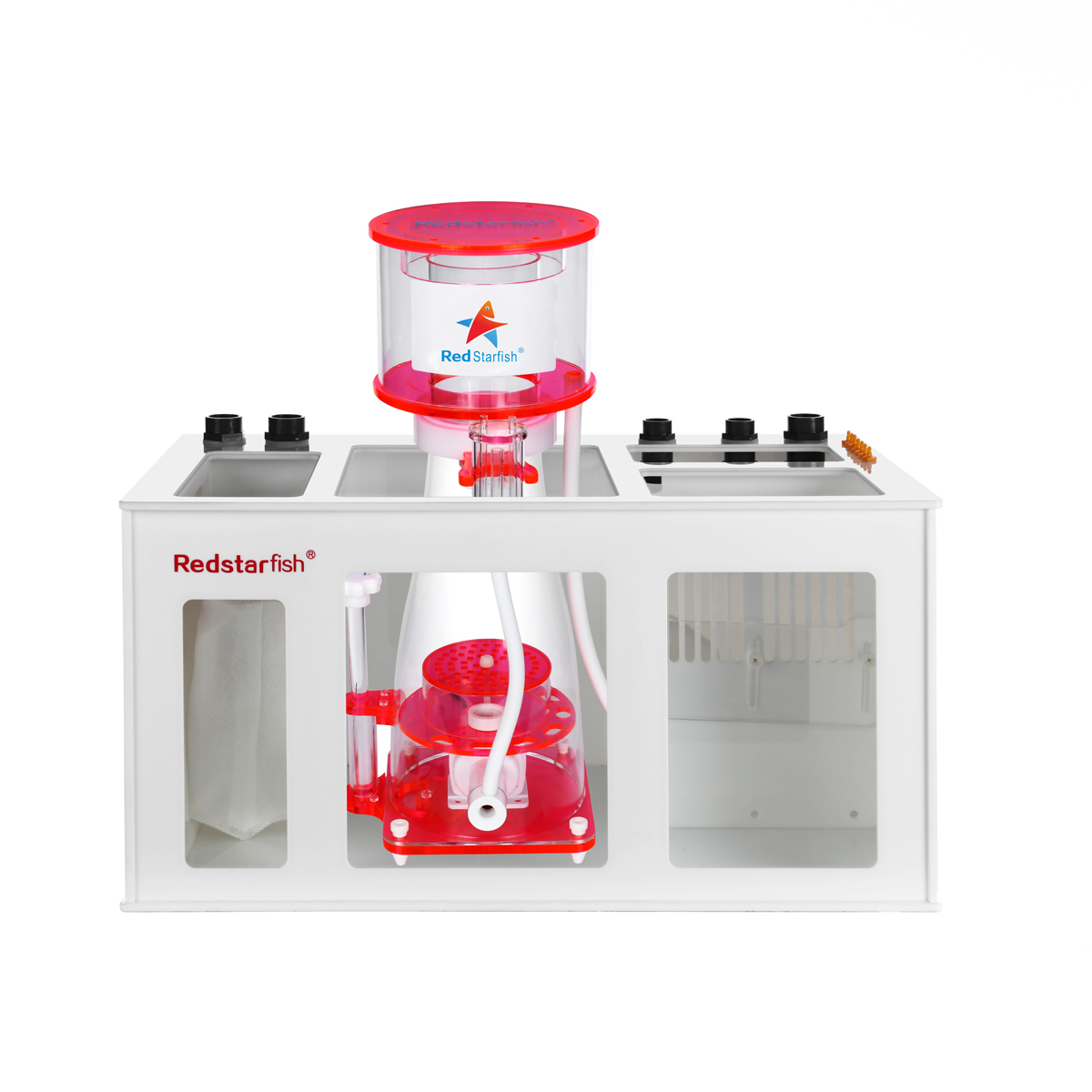 HOTRed Deniz Yıldızı OEM LOGO  - Aquarium Fish Logo incelemesi ve fiyatı