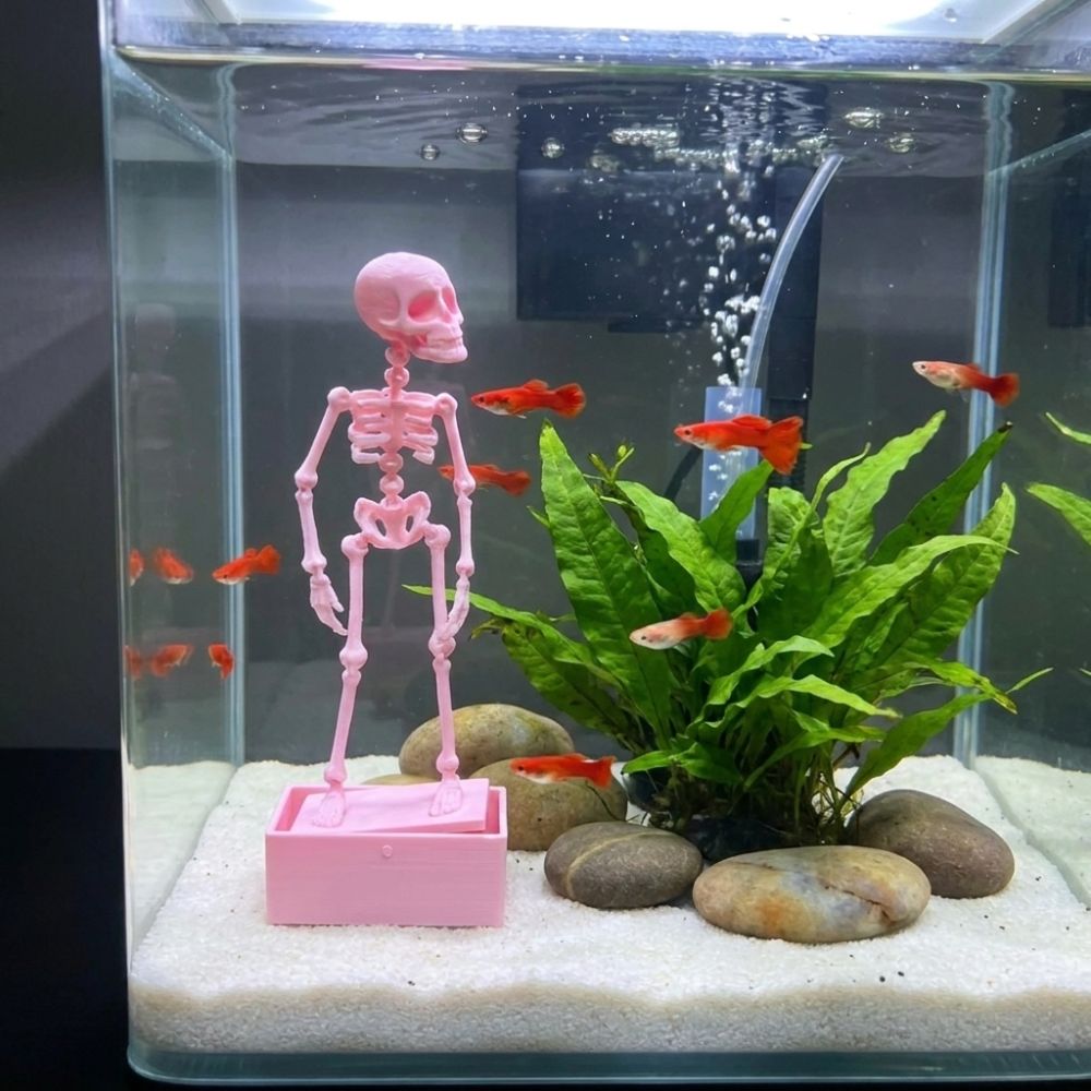 3D Baskılı Dans Eden İskelet A - Aquarium Fish Diseases incelemesi ve fiyatı
