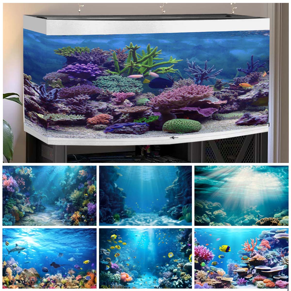 Sualtı Dünyası Fotoğraflar içi - Aquarium Fish World incelemesi ve fiyatı