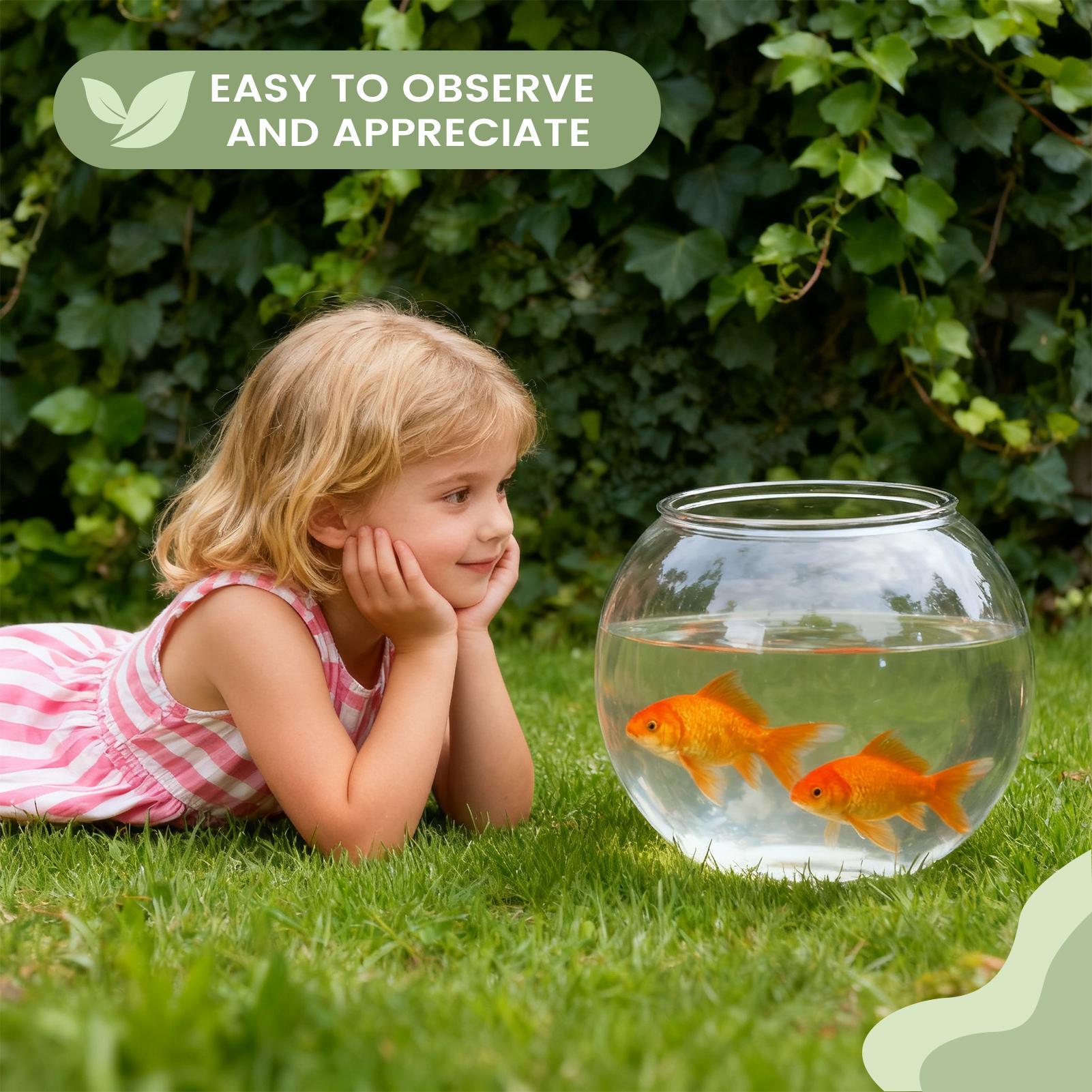 Balık Kasesi, Kabarcıklı Tasar - Aquarium Fish In Bowl incelemesi ve fiyatı