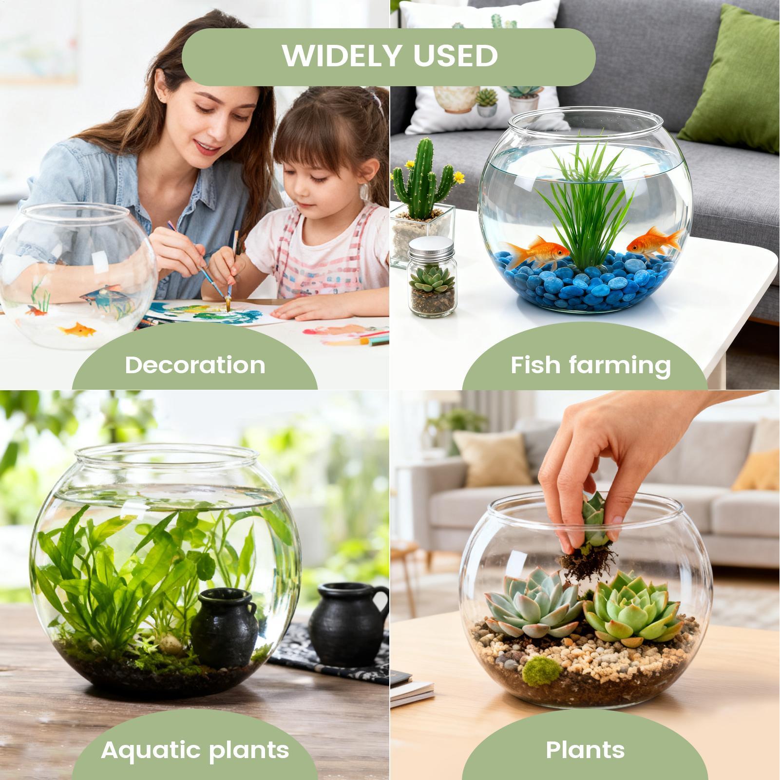 Balık Kasesi, Kabarcıklı Tasar - Aquarium Fish In Bowl incelemesi ve fiyatı