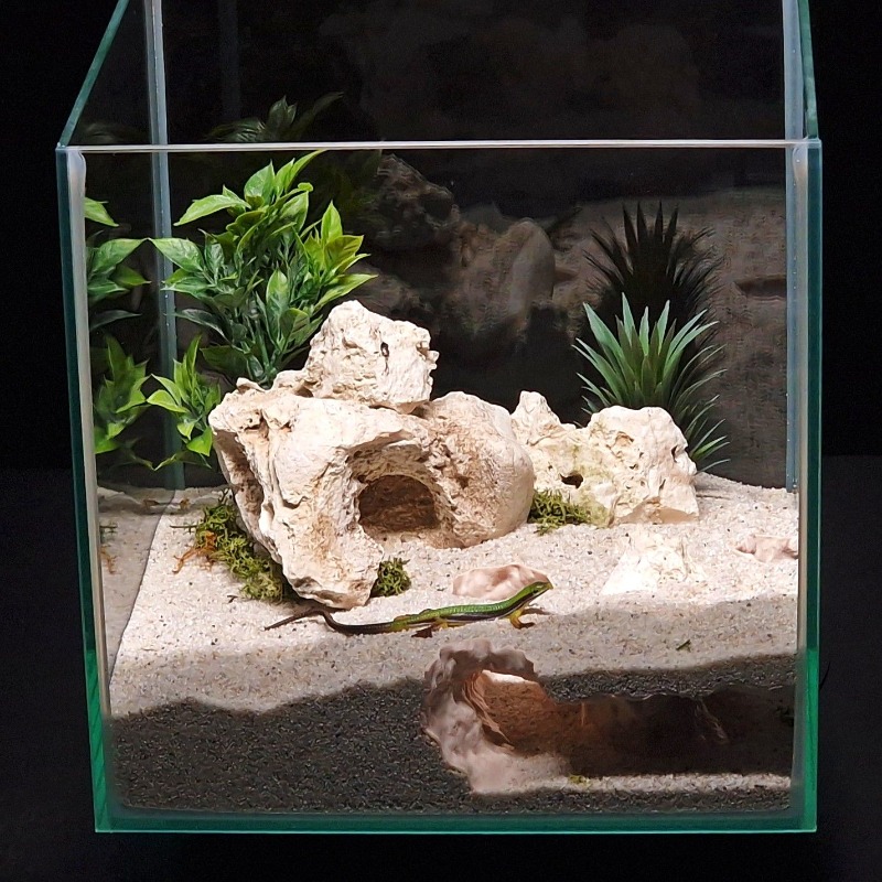 3D Baskılı Balık Tankı Tüneli  - Aquarium Fish Games incelemesi ve fiyatı