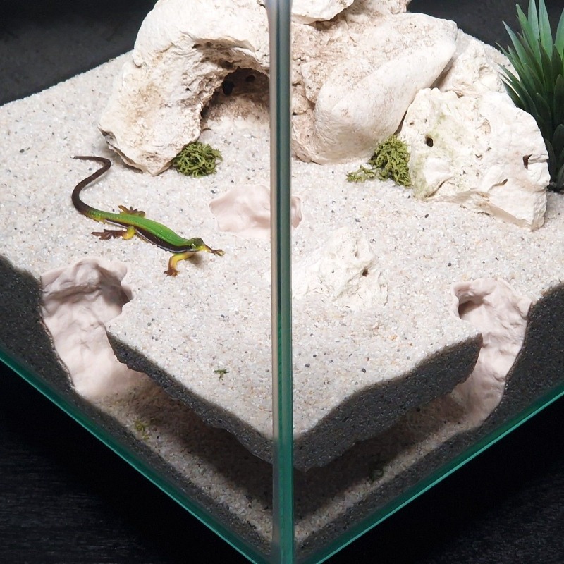 3D Baskılı Balık Tankı Tüneli  - Aquarium Fish Games incelemesi ve fiyatı