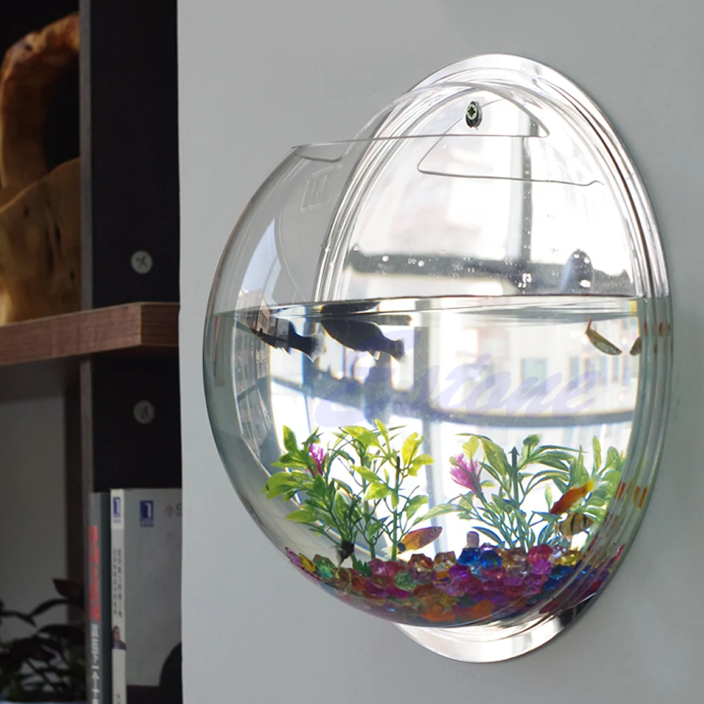 Pot Duvar Asılı Montaj Kabarcı - Aquarium Fish In Bowl incelemesi ve fiyatı