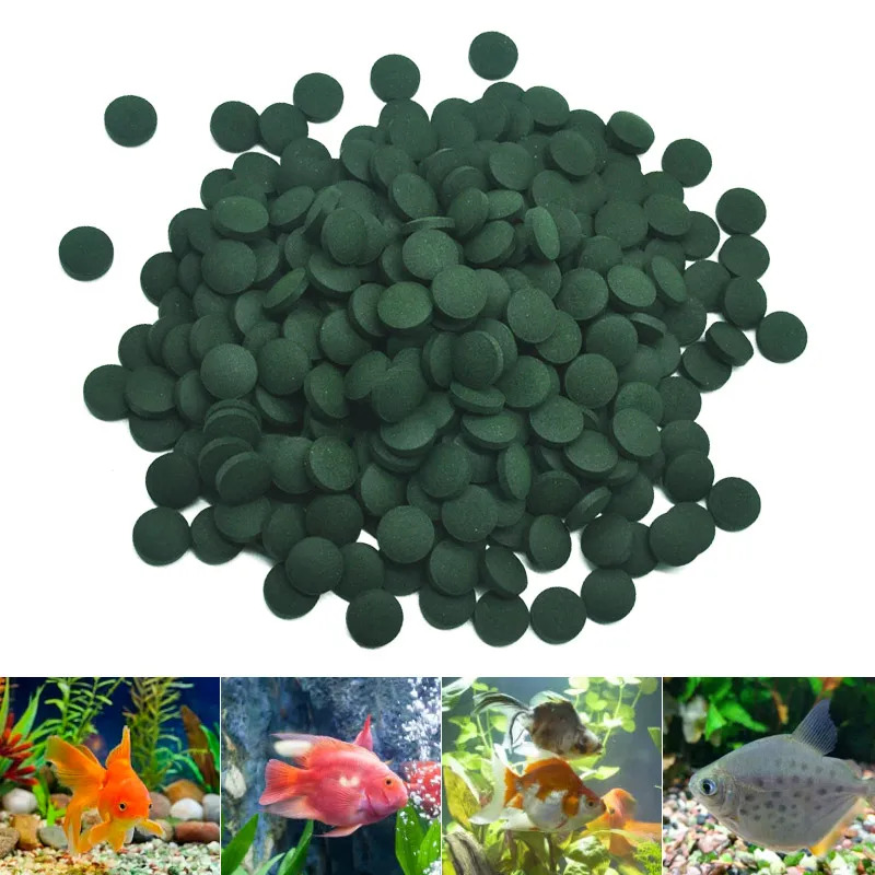 50-300 Adet Yüksek Saflıkta Sp - Aquarium Fish Vitamin incelemesi ve fiyatı