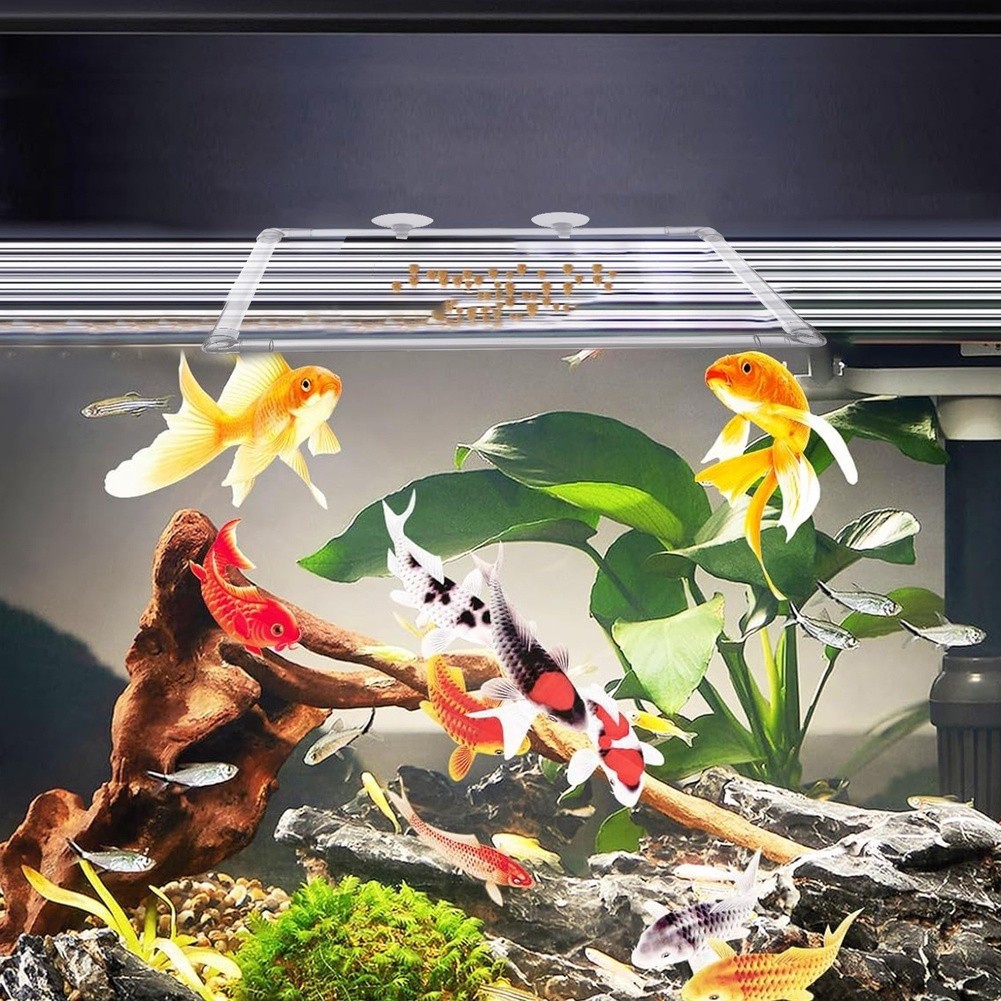 Akrilik Balık Tankları ve Açık - Aquarium Fish Zone incelemesi ve fiyatı