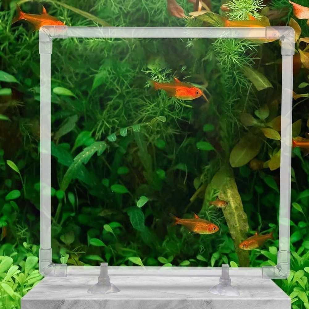 Akrilik Balık Tankları ve Açık - Aquarium Fish Zone incelemesi ve fiyatı