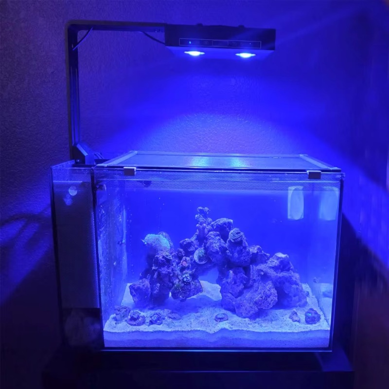 Çin Tedarikçisi Kısılabilir 95 - Aquarium Fish Supplier incelemesi ve fiyatı