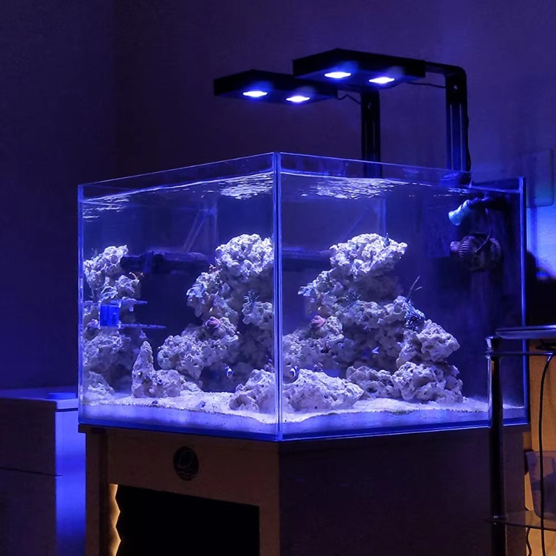 Çin Tedarikçisi Kısılabilir 95 - Aquarium Fish Supplier incelemesi ve fiyatı