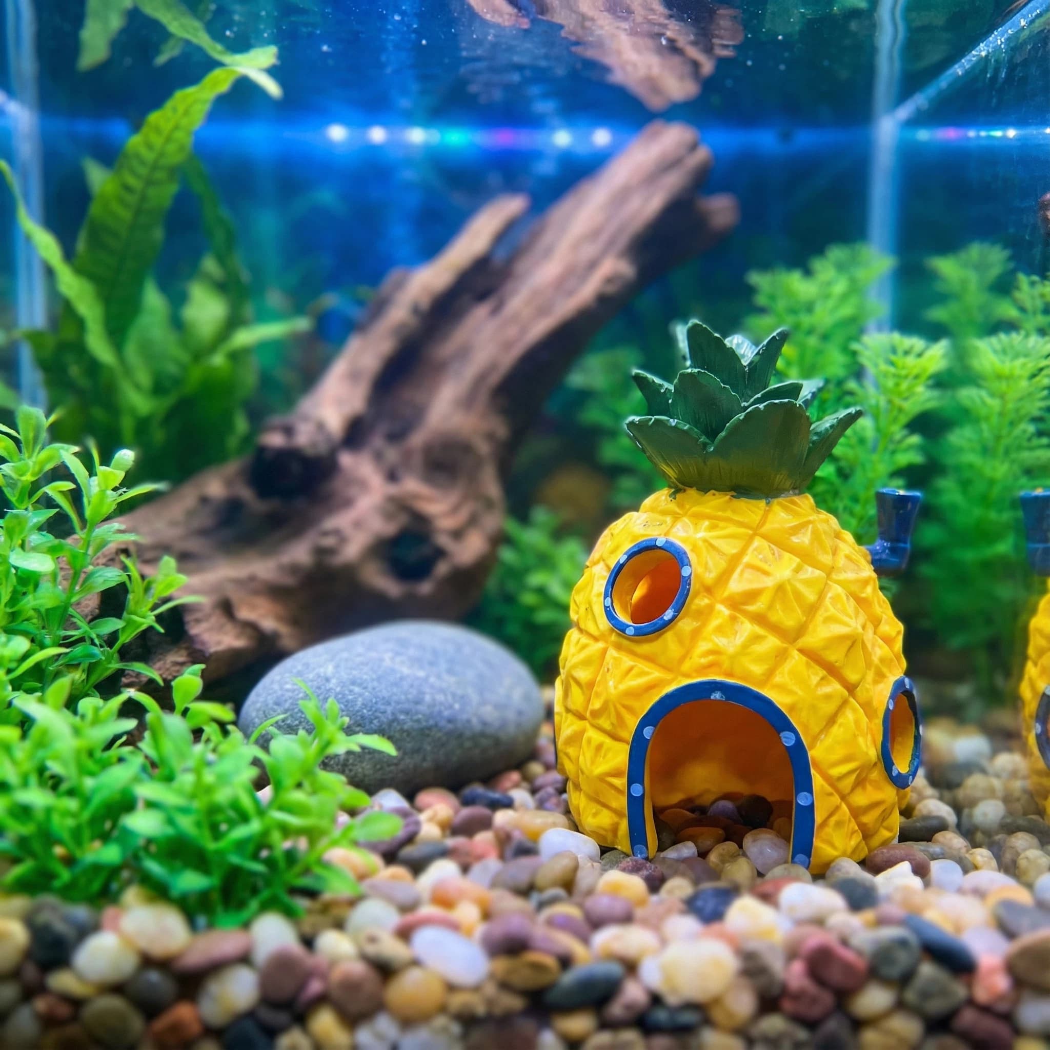 Ananas Evi Akvaryum Dekoru, Be - Aquarium Fish Games incelemesi ve fiyatı