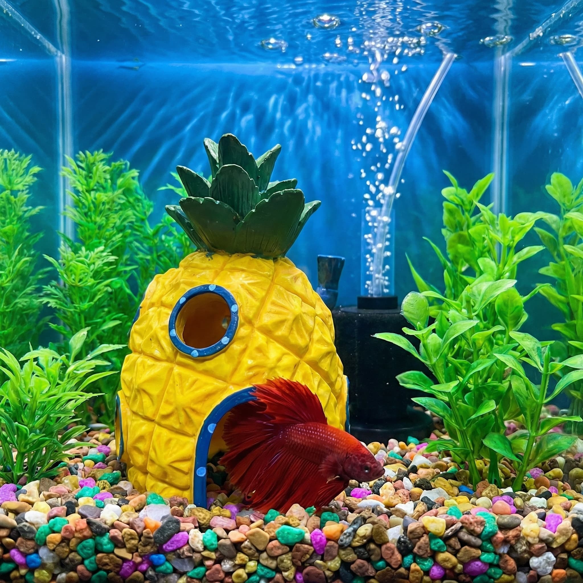 Ananas Evi Akvaryum Dekoru, Be - Aquarium Fish Games incelemesi ve fiyatı