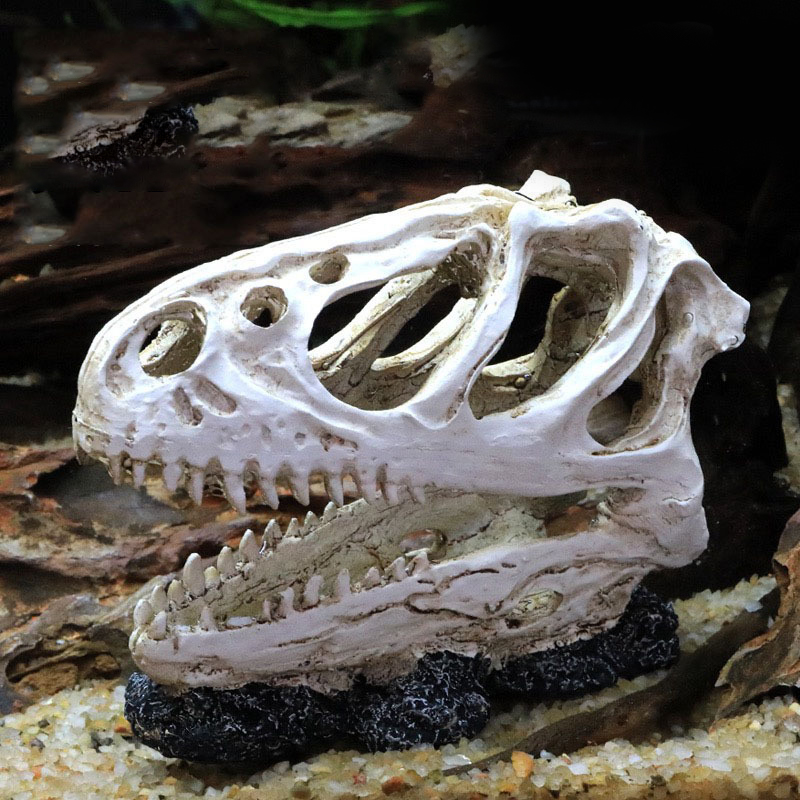 Dinozor kafatası modeli Veloci - Aquarium Fish Diseases incelemesi ve fiyatı